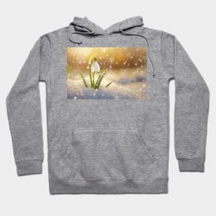 spring snowdrop Hoodie